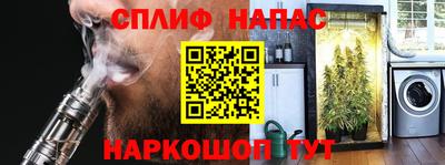 прущие грибы Пугачёв